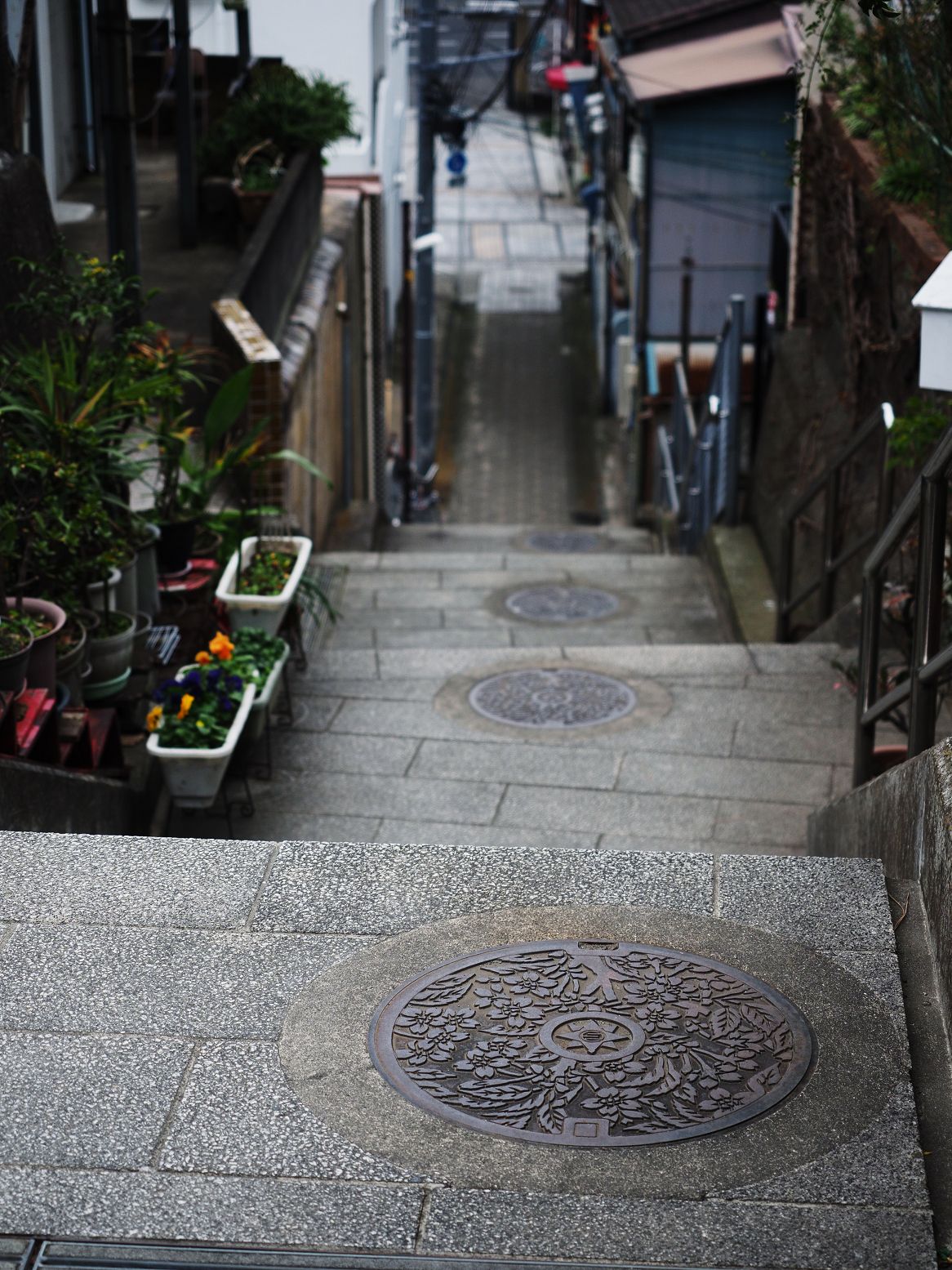 P1120325.jpg