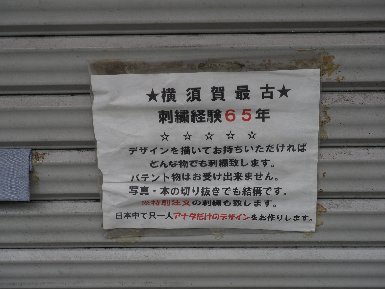 P1120331.jpg