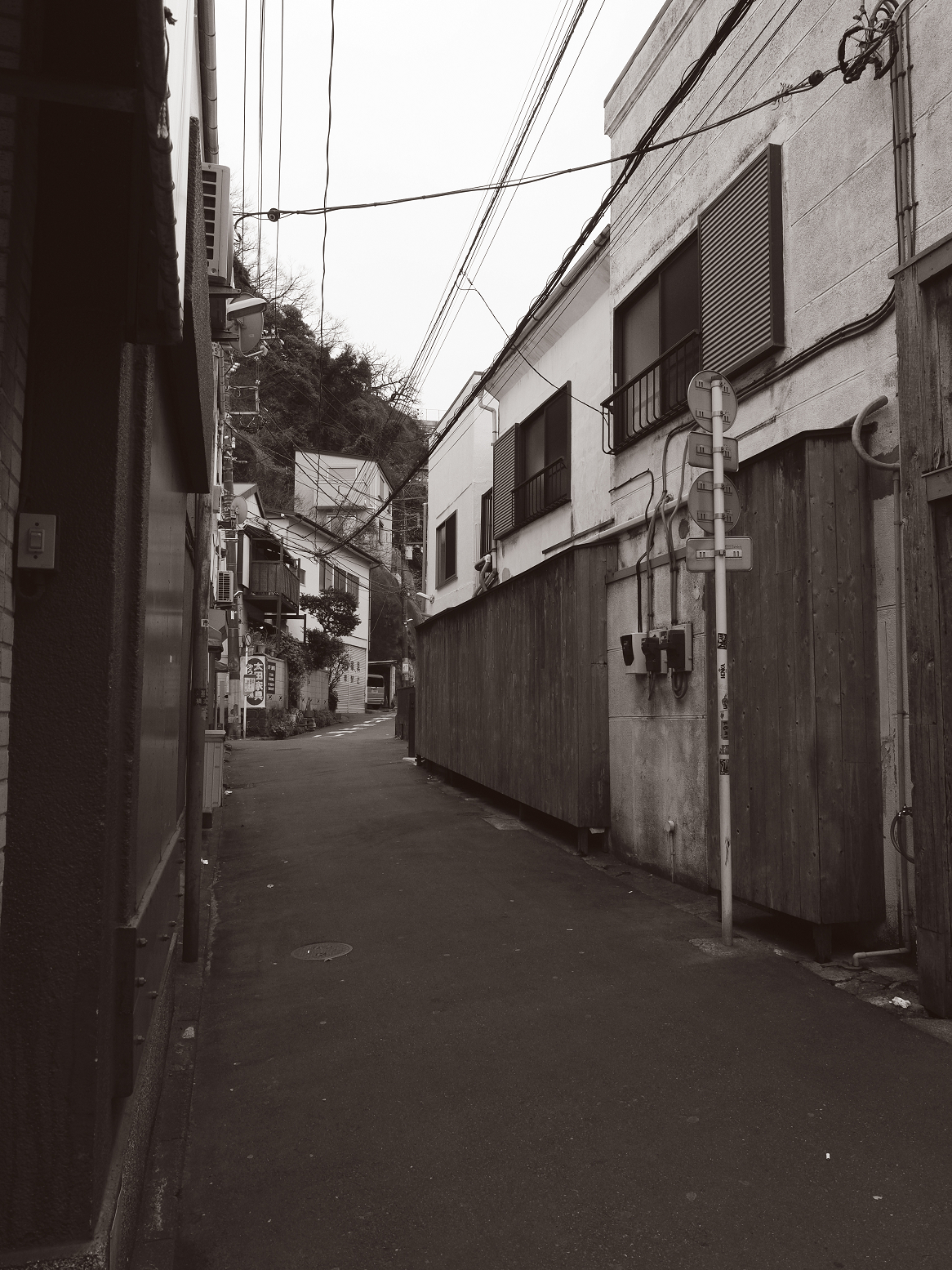 P1120341.jpg