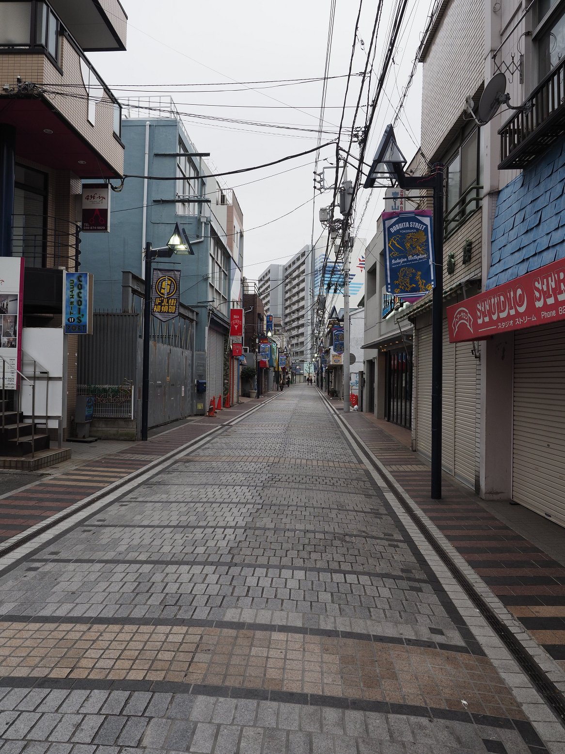 P1120356.jpg