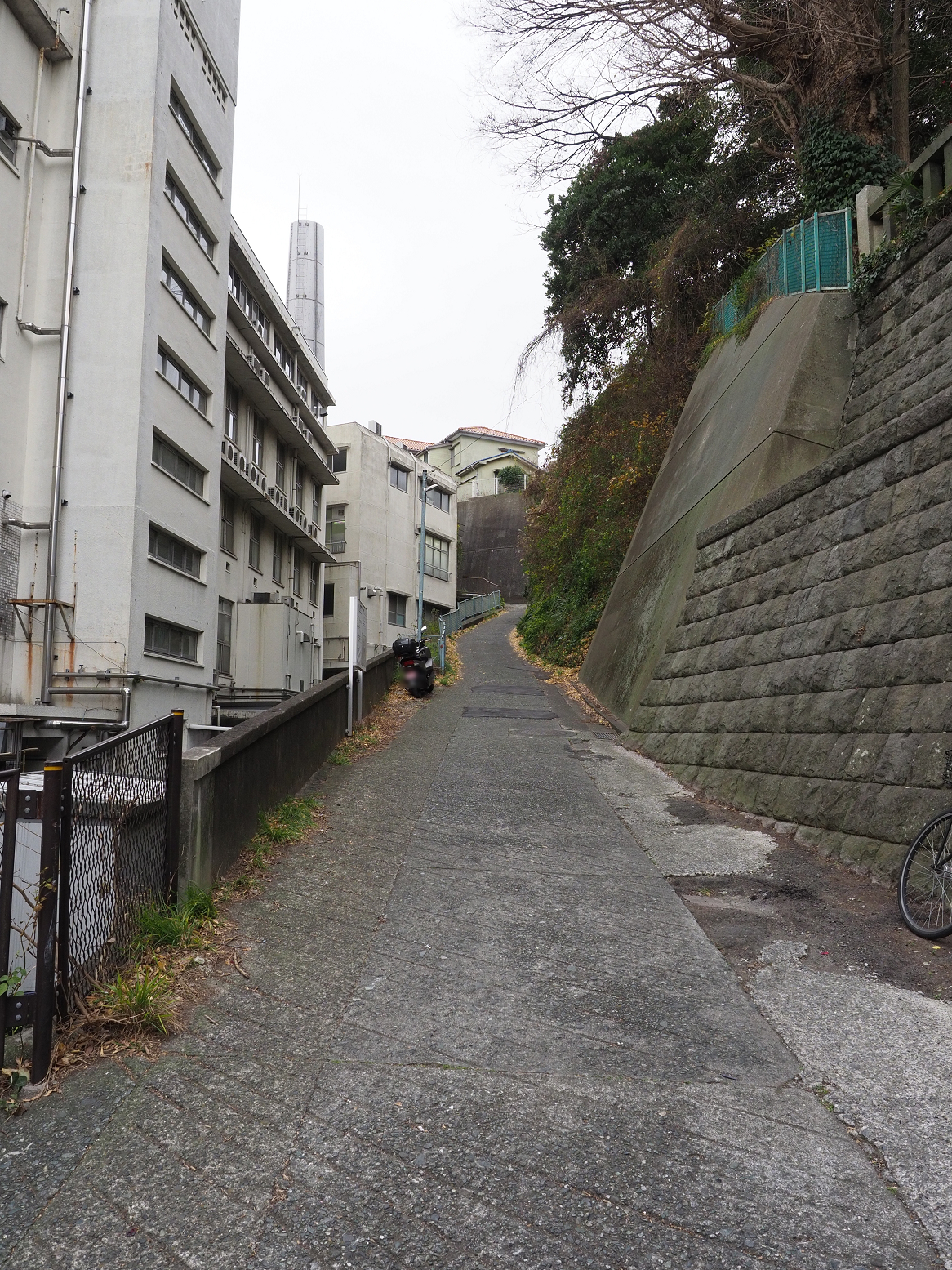 P1120376.jpg