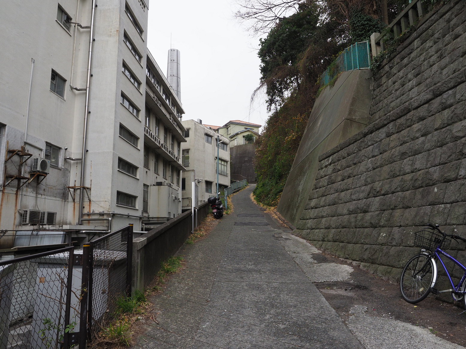 P1120377.jpg