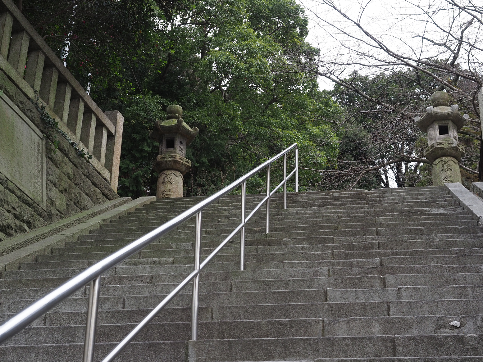 P1120385.jpg