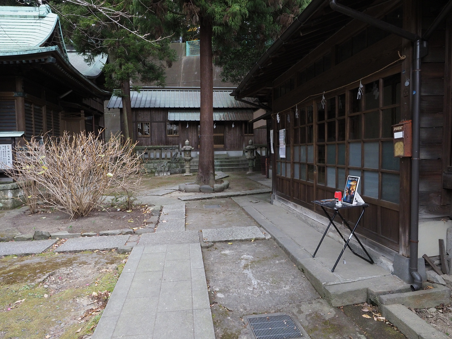 P1120389.jpg