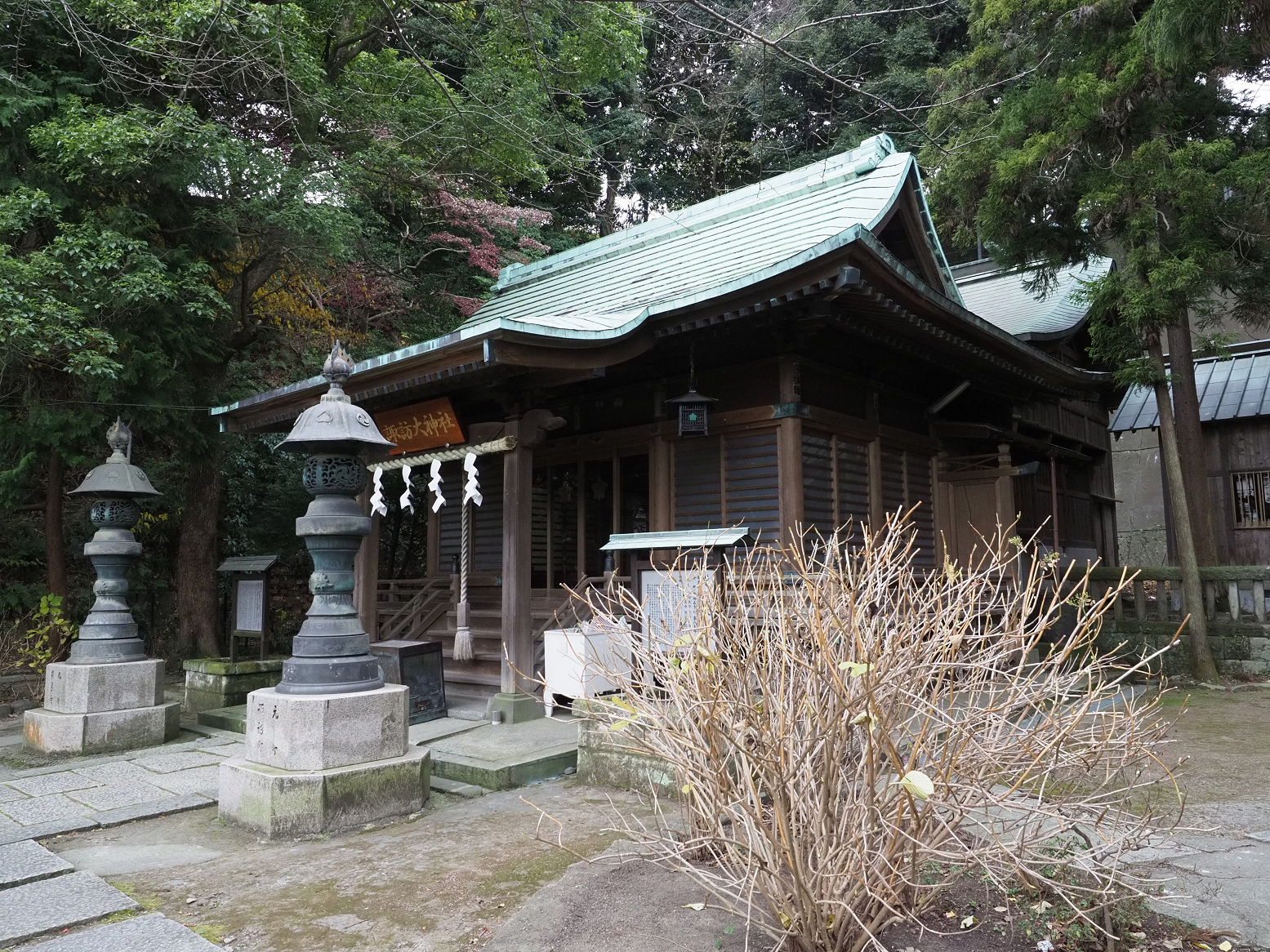 P1120391.jpg