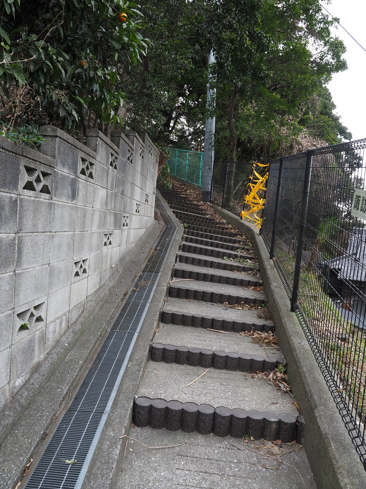 P1120396.jpg