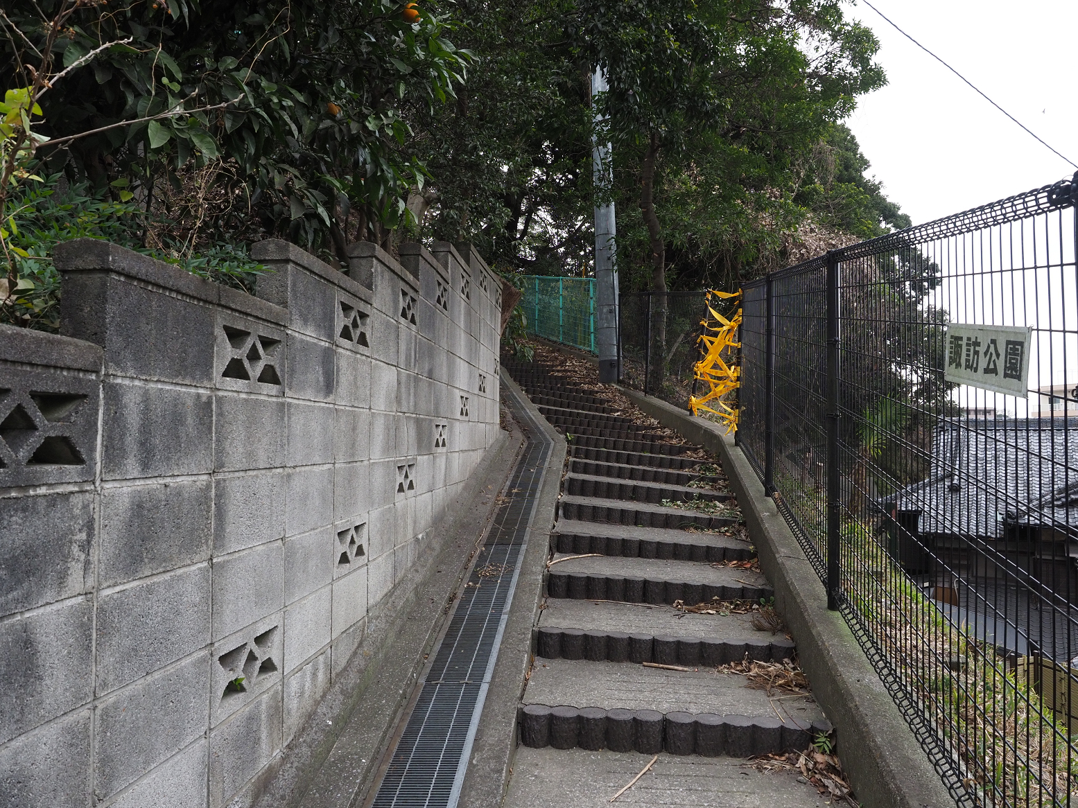 P1120397.jpg