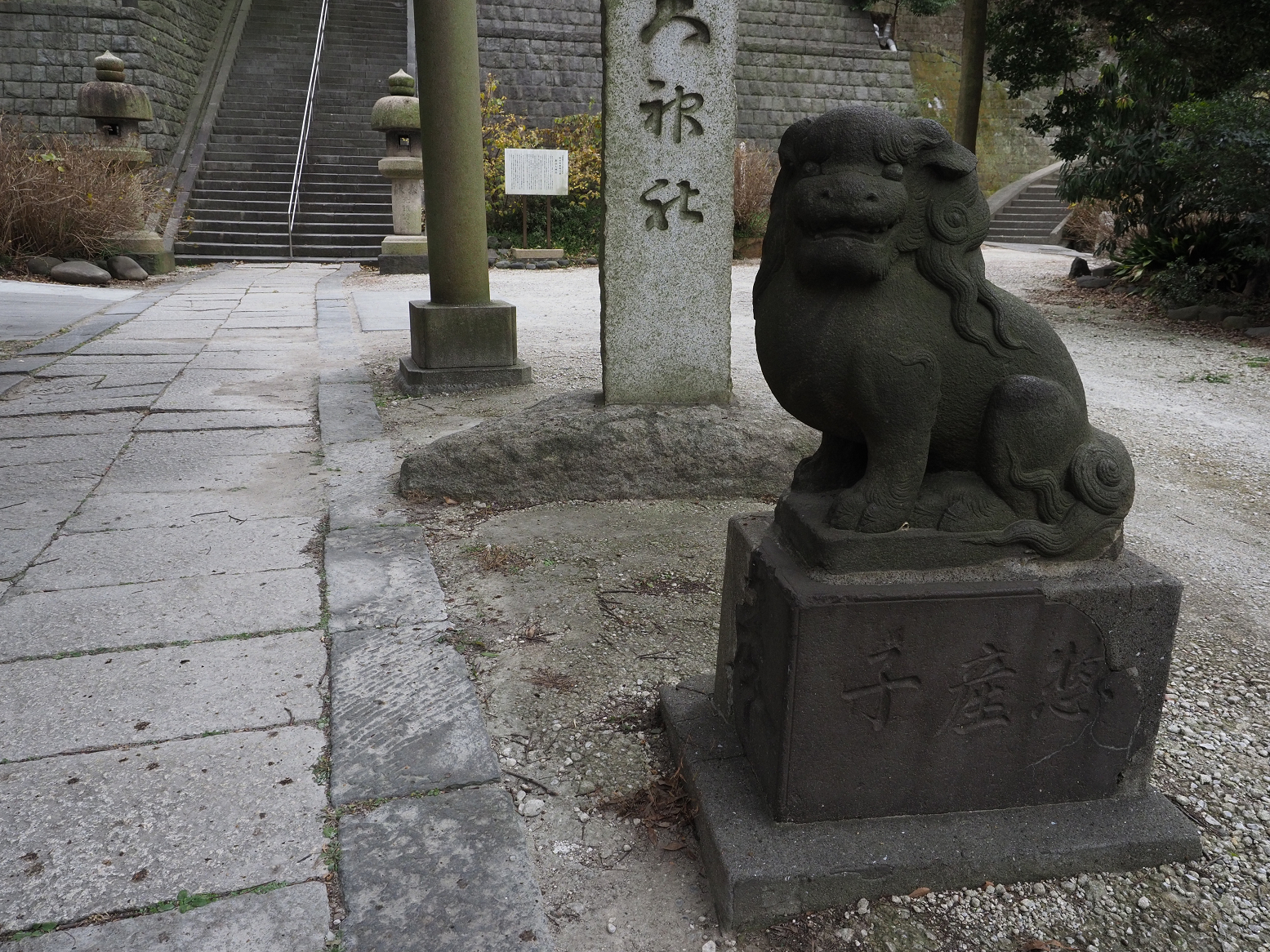 P1120401.jpg