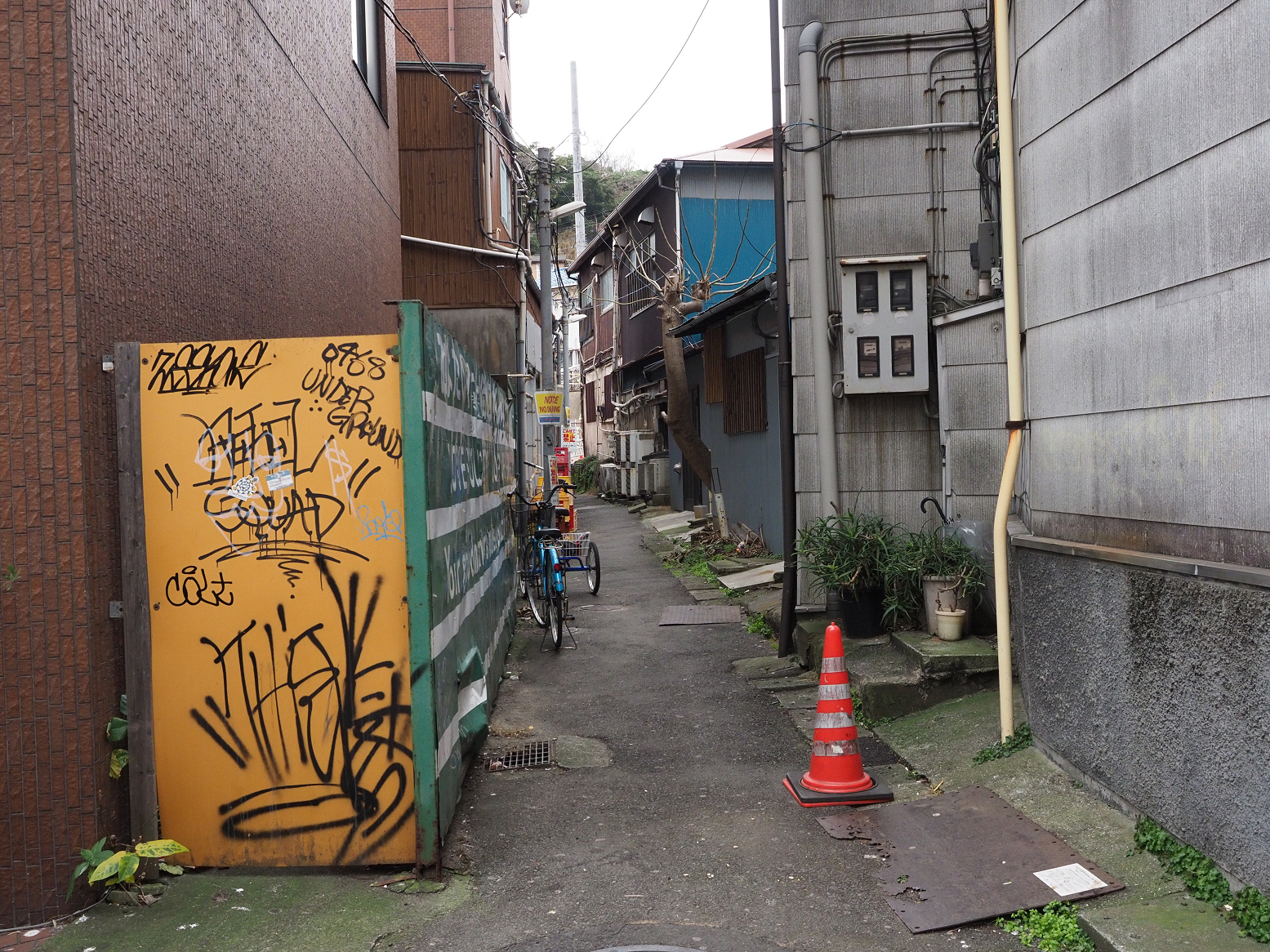 P1120410.jpg