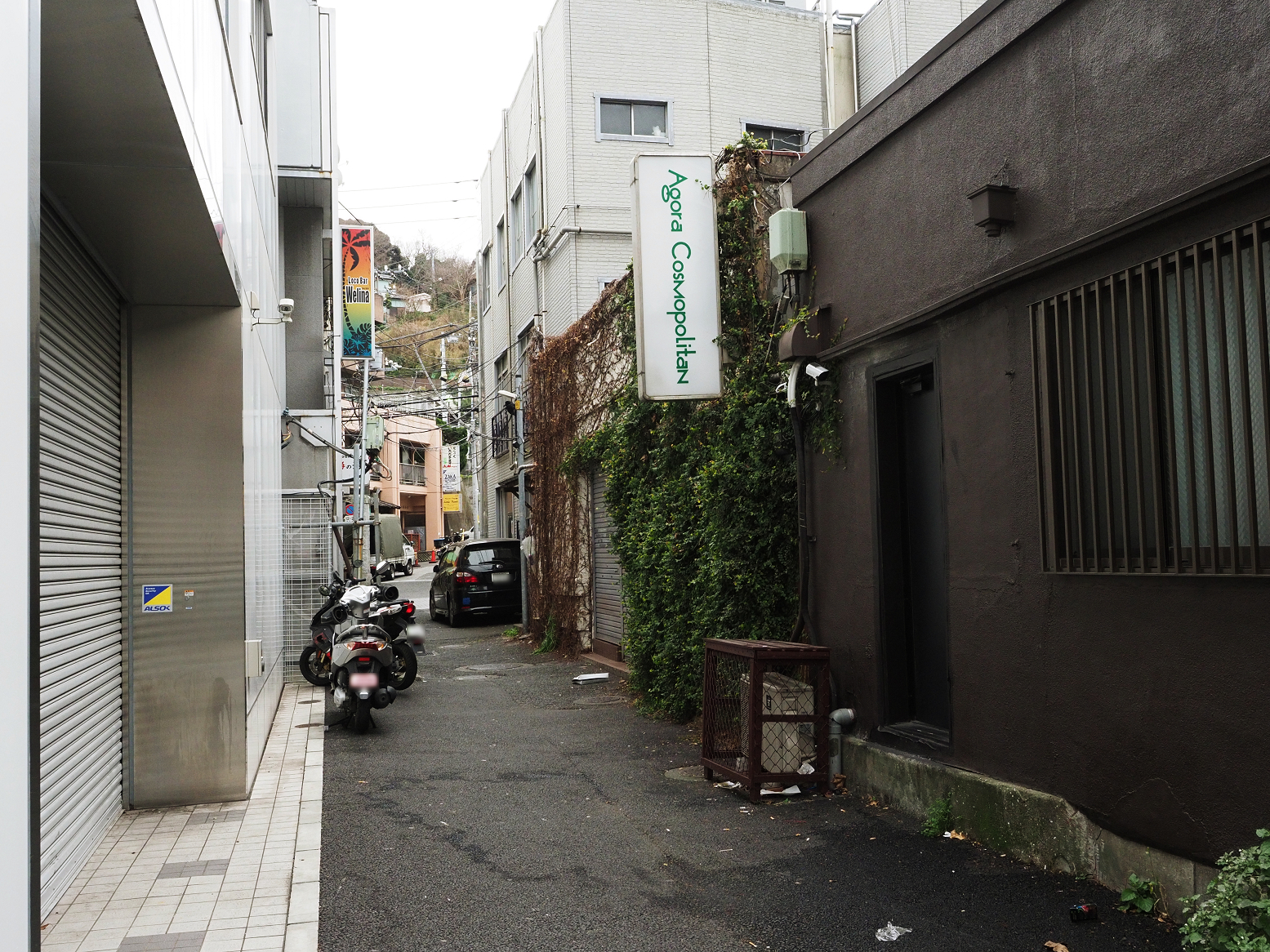 P1120414.jpg