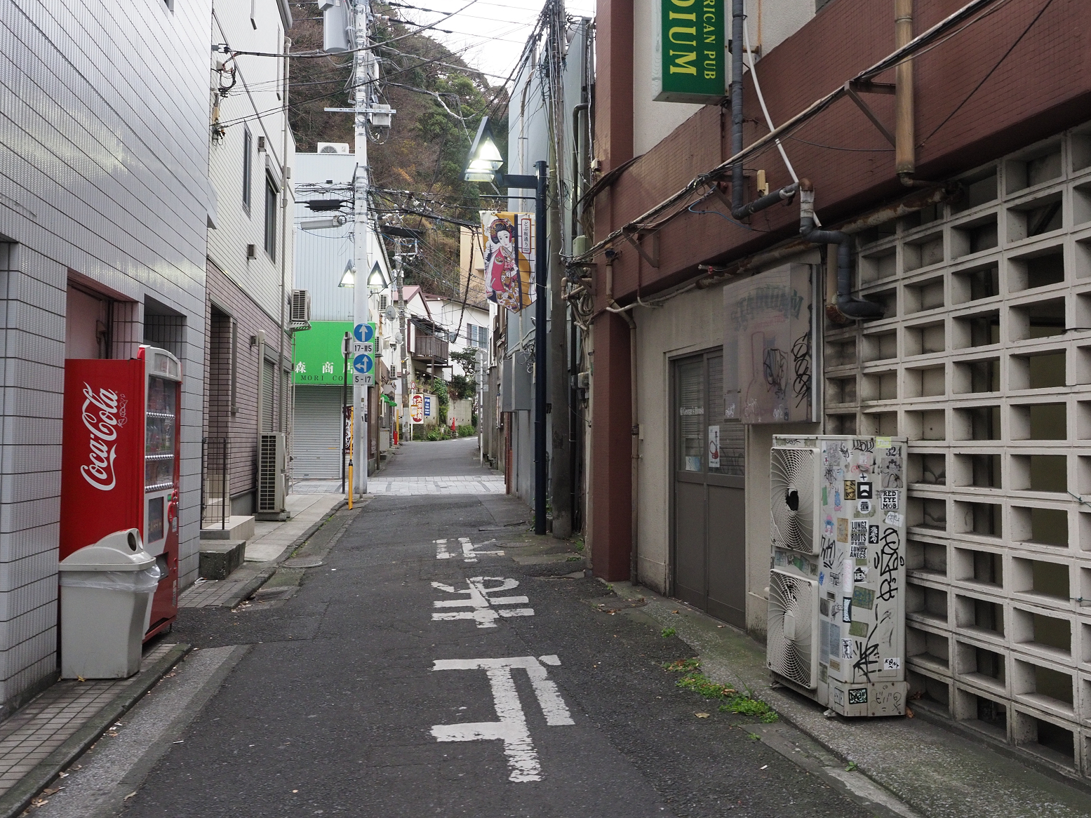P1120428.jpg