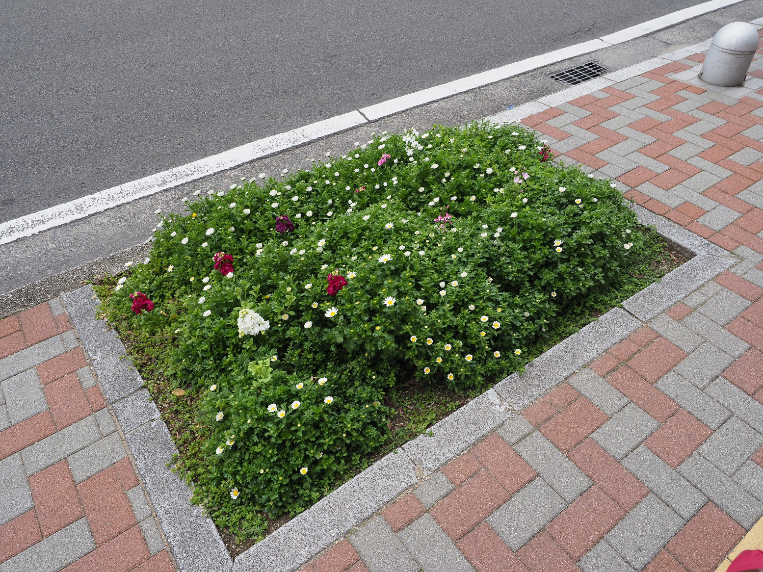 P3031666.jpg