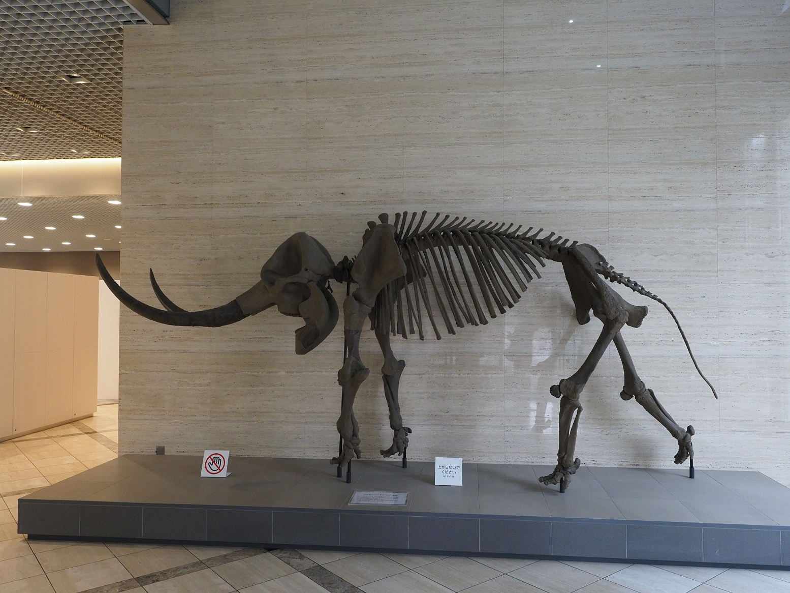 P3031668.jpg