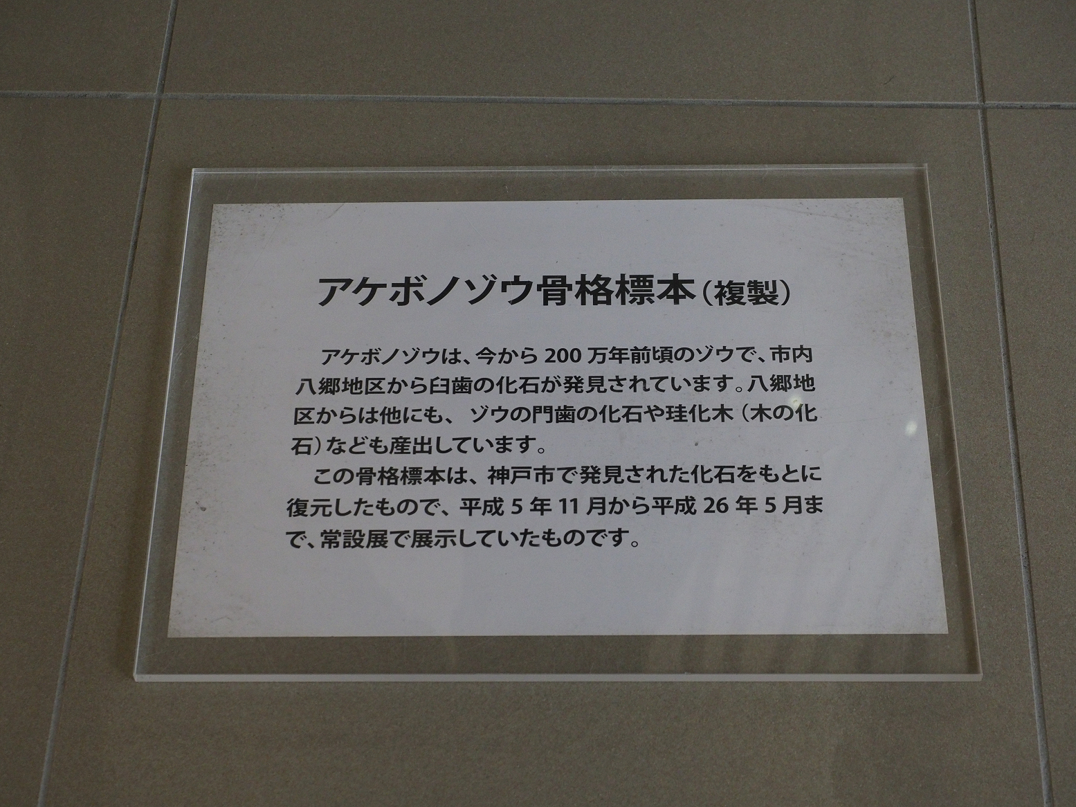 P3031669.jpg