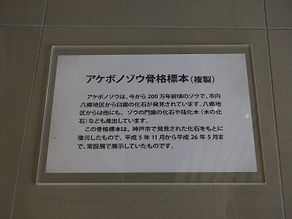 P3031669_thumb.png
