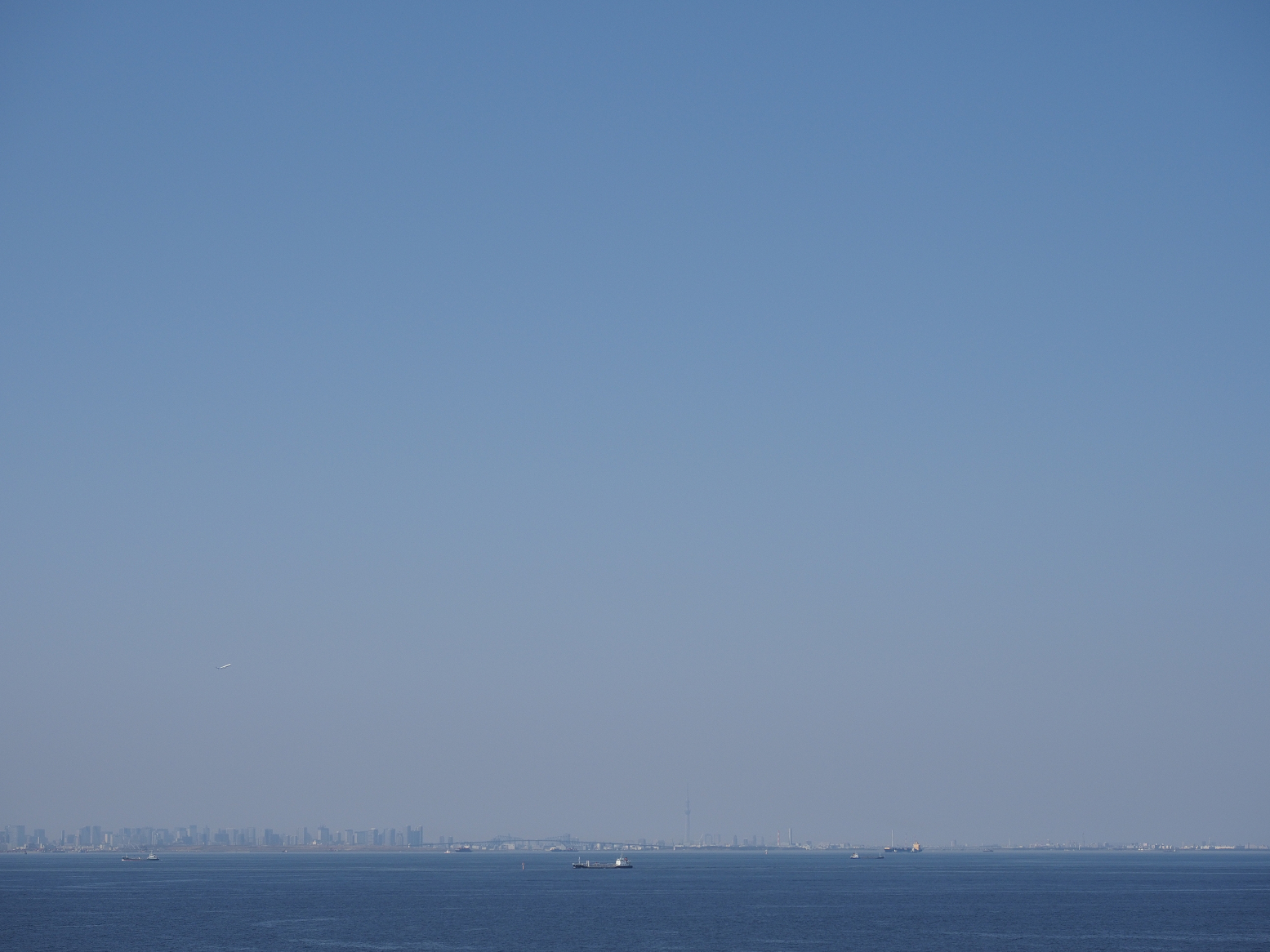 P3200038.jpg