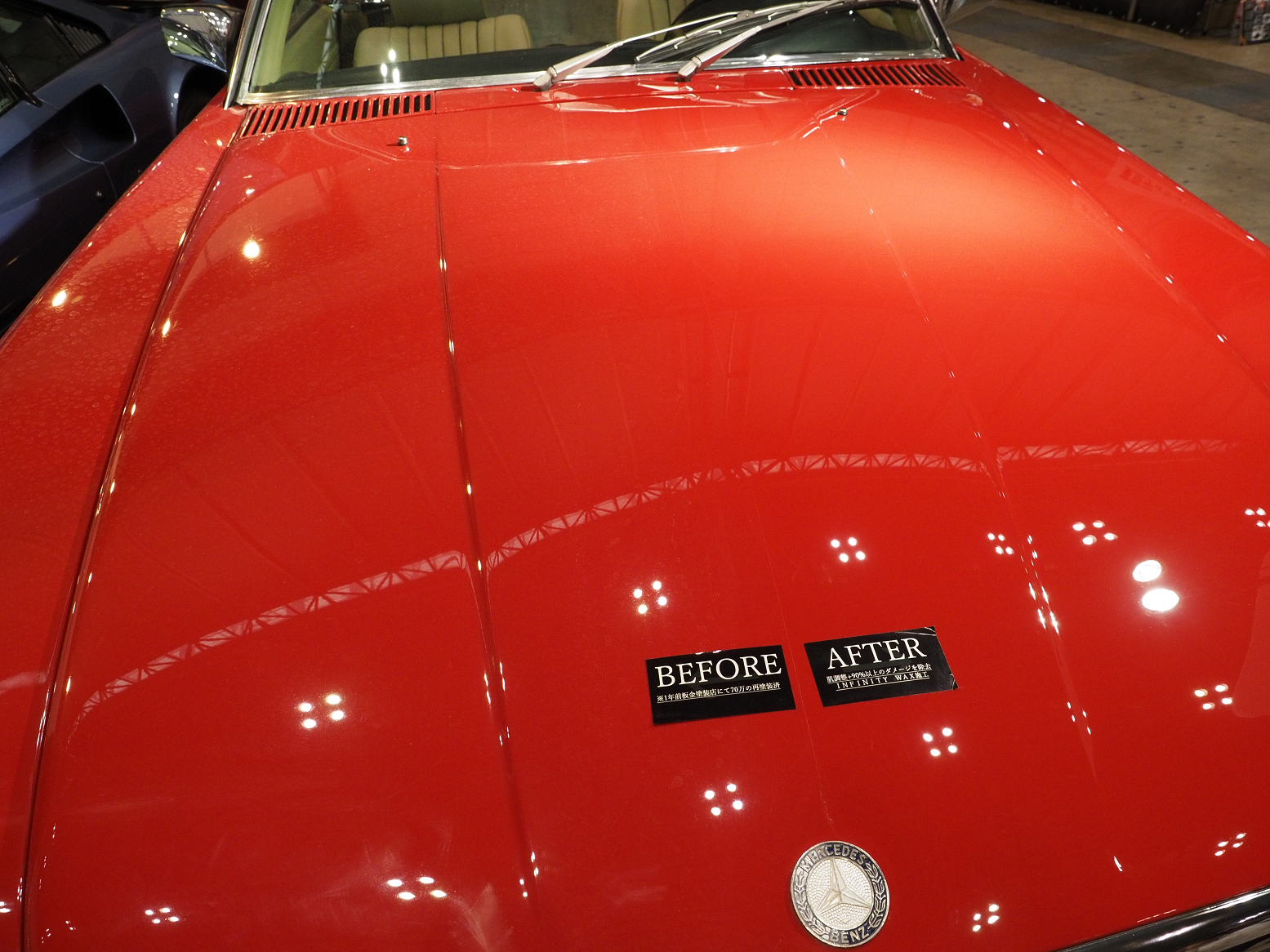 P4060107.jpg