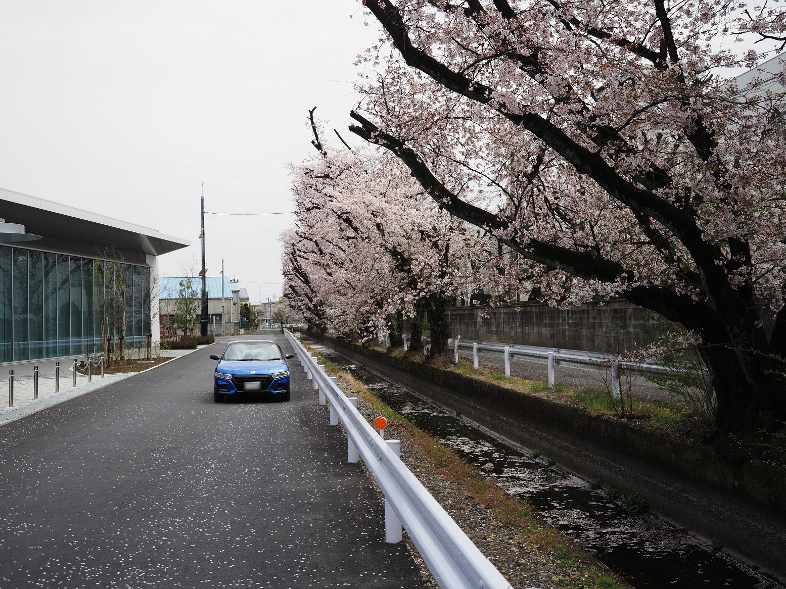 P4070311.jpg