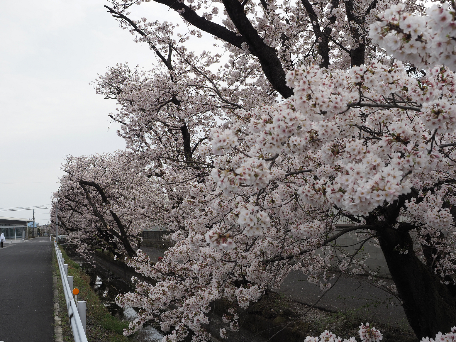 P4070340.jpg
