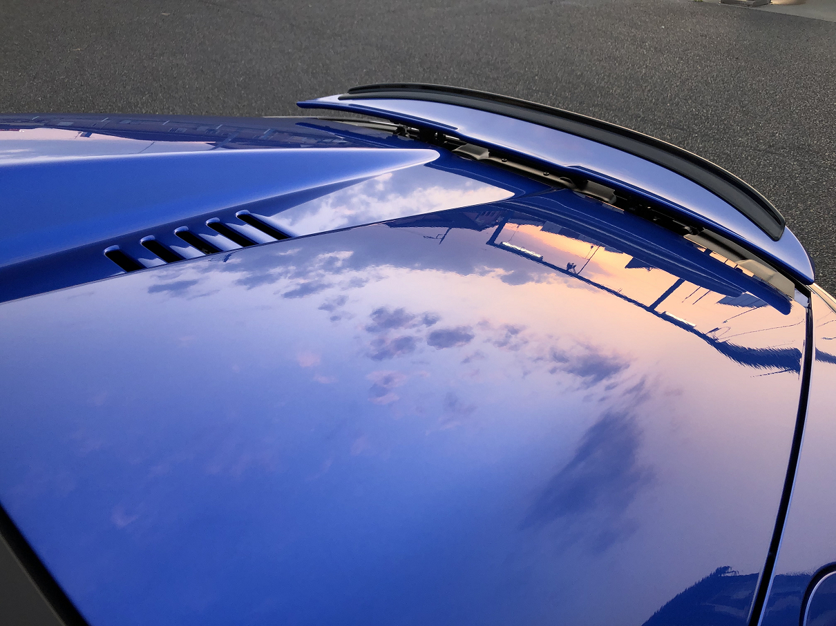 P4070350-01.jpg