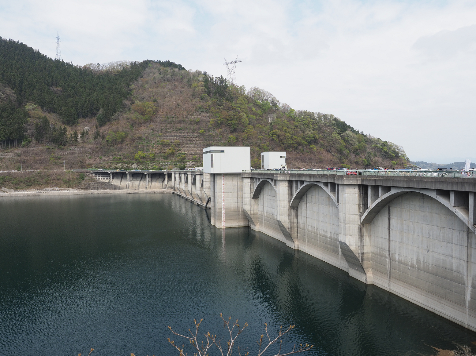 P4210925.jpg