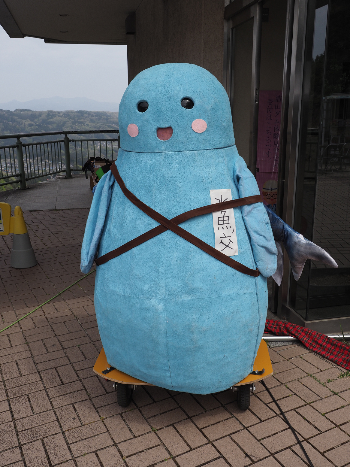 P4210937.jpg