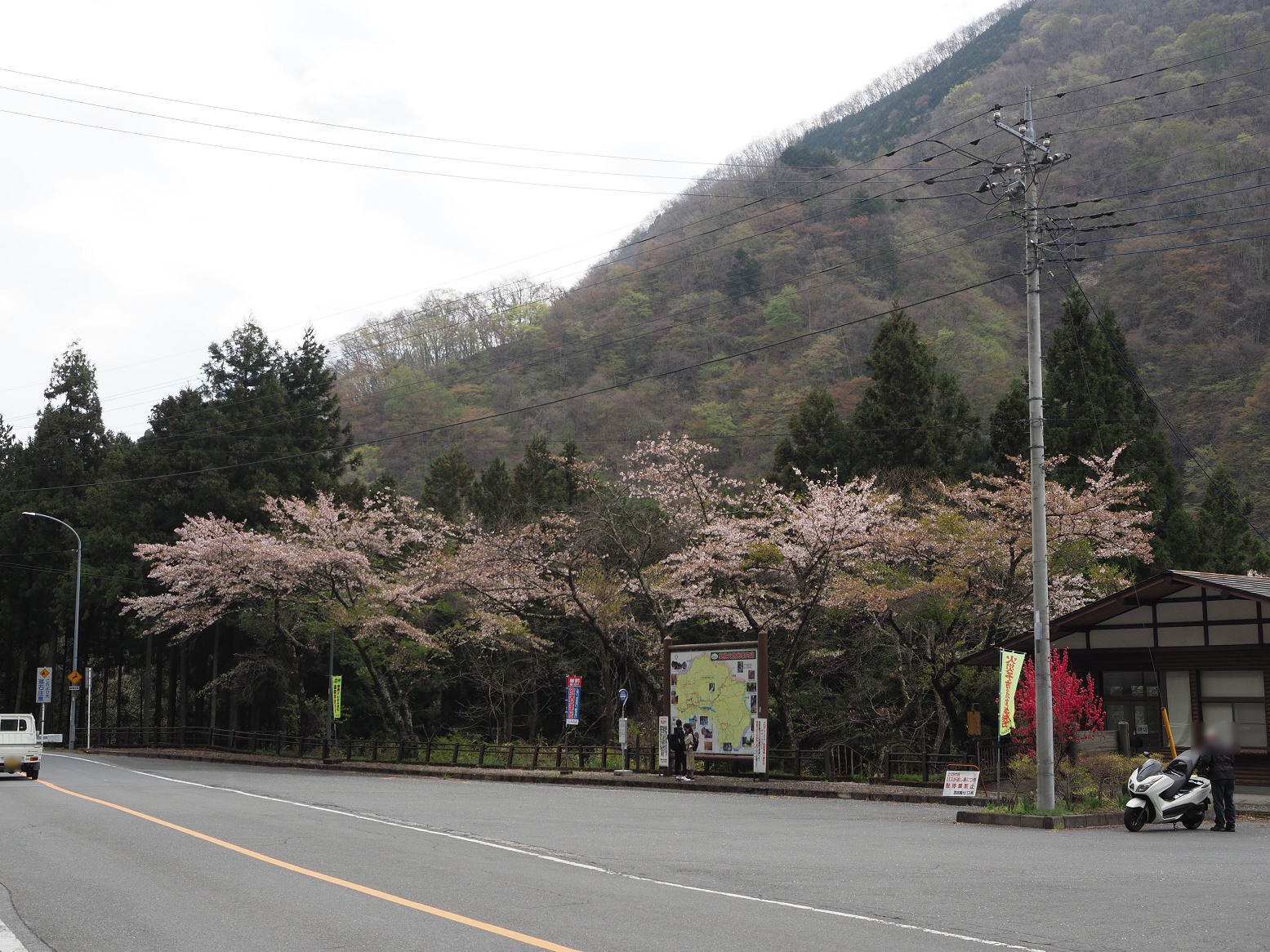 P4210939.jpg