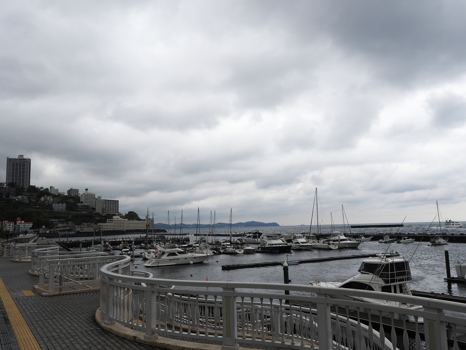 P4270011.jpg