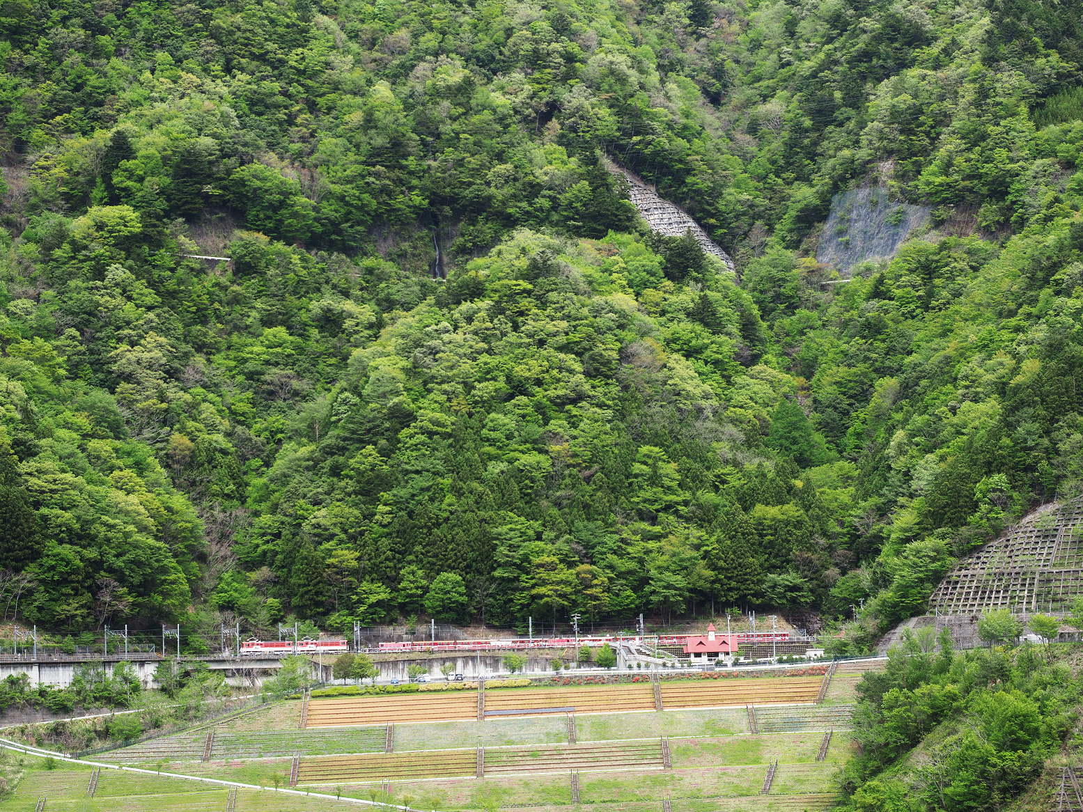 P4280115.jpg