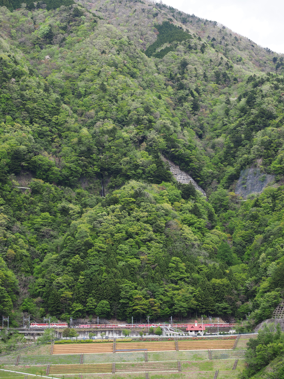 P4280116.jpg