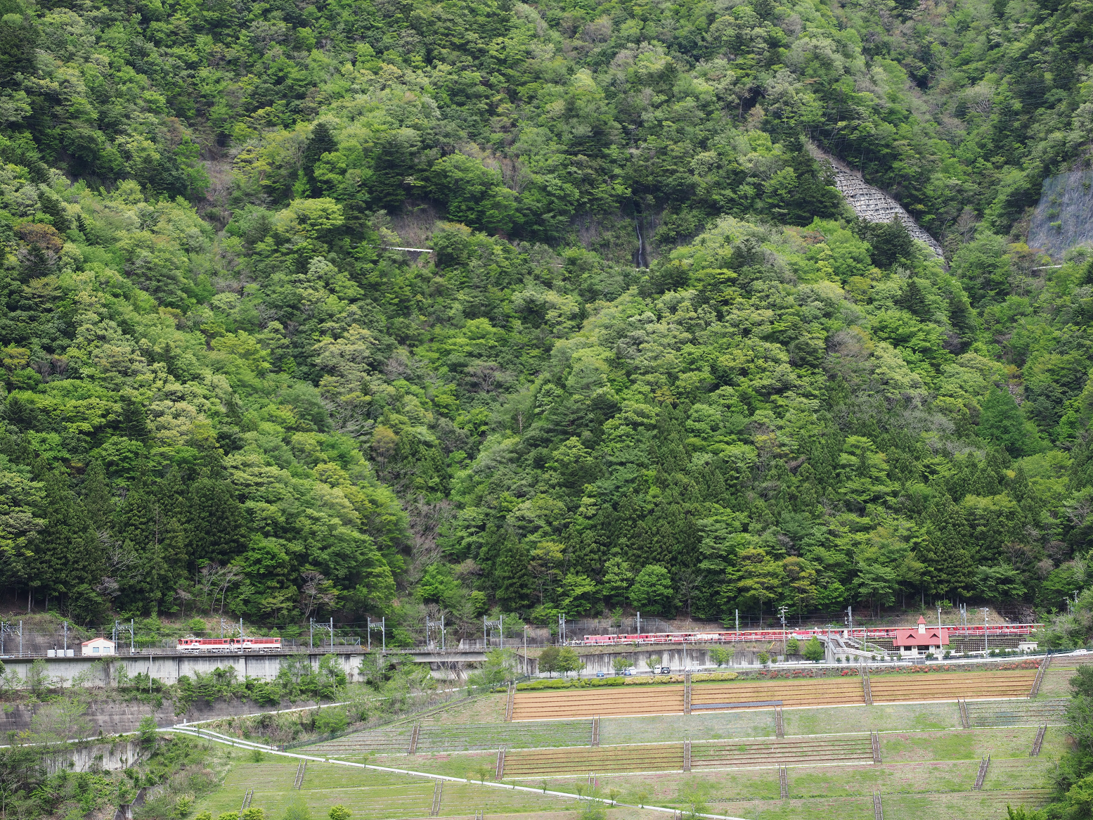 P4280117.jpg