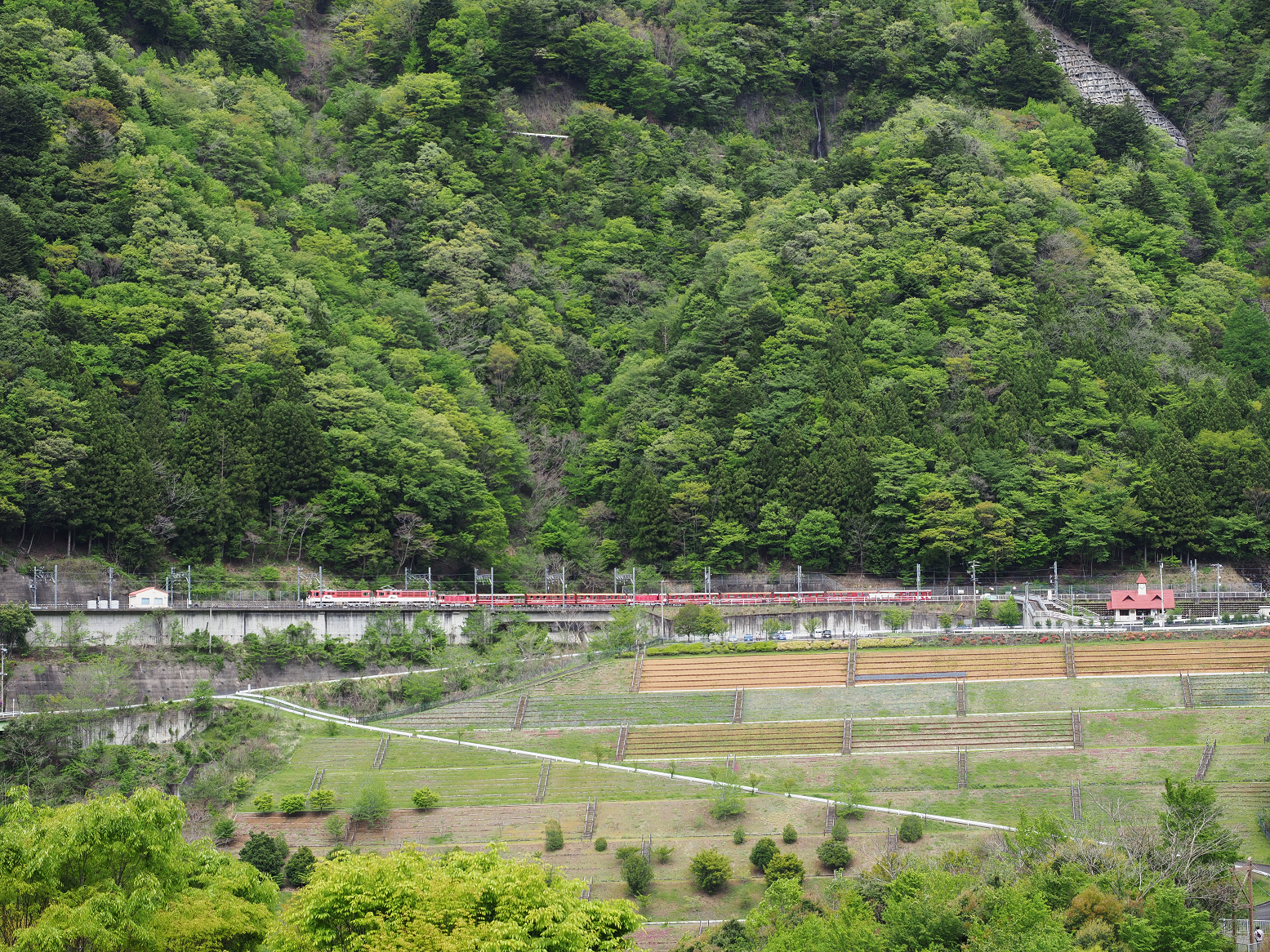 P4280127.jpg