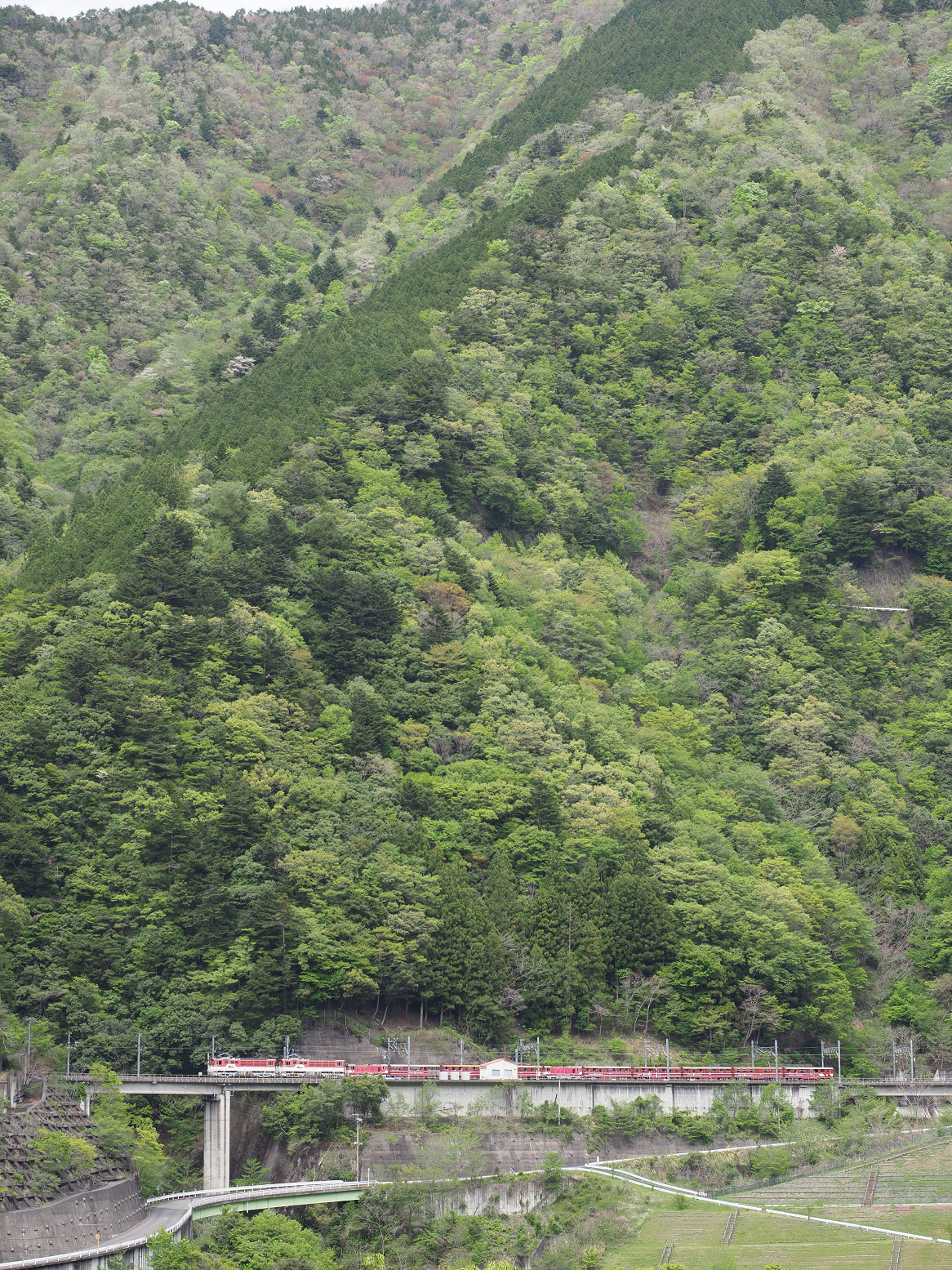 P4280131.jpg