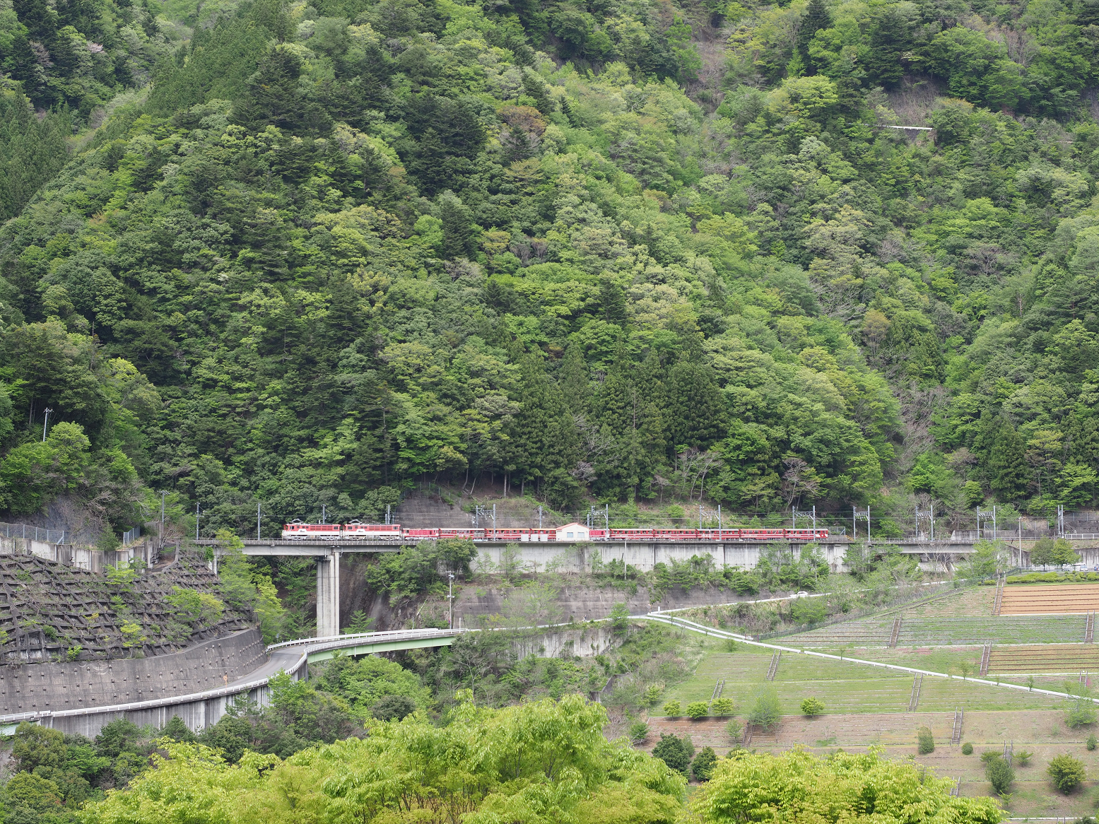 P4280132.jpg