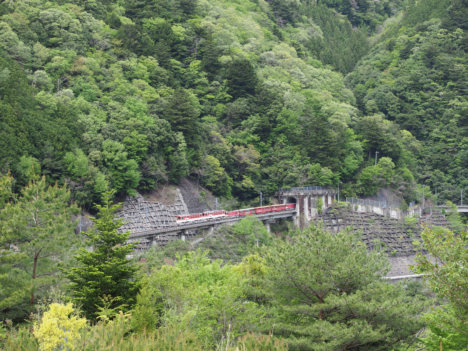 P4280140.jpg