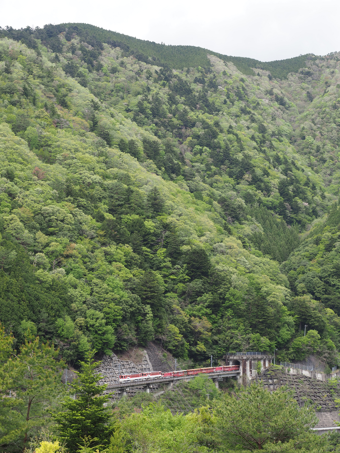 P4280141.jpg