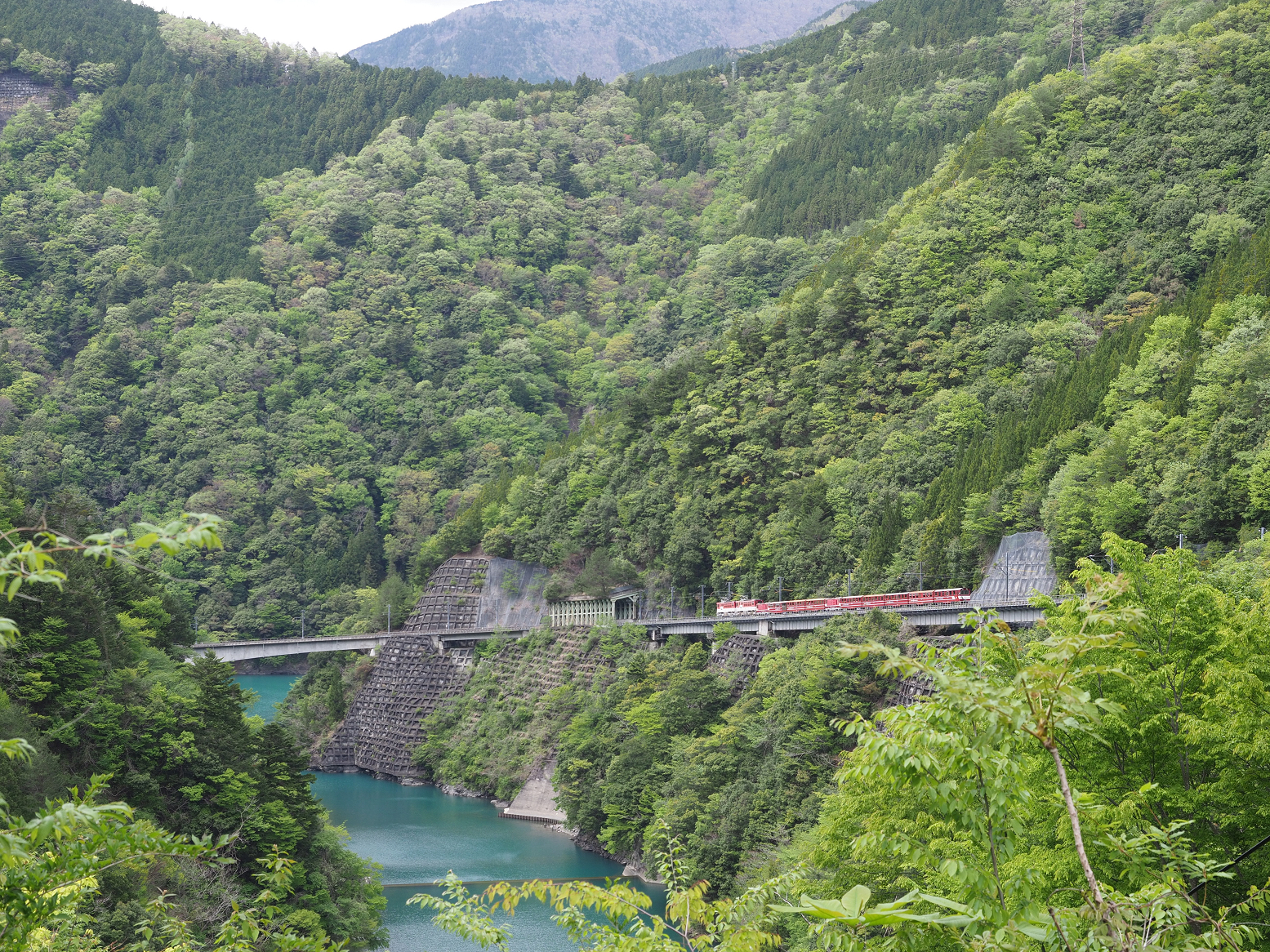 P4280147.jpg