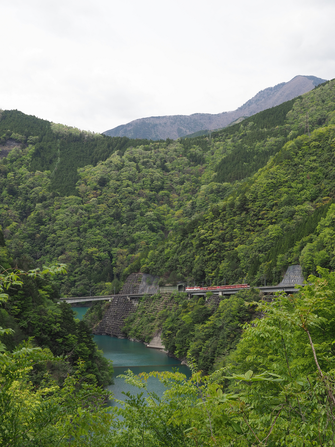 P4280150.jpg