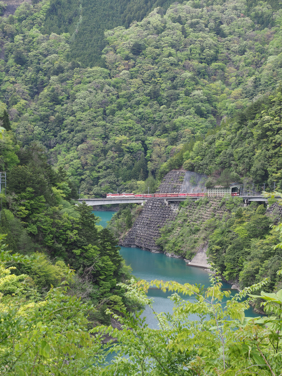 P4280159.jpg