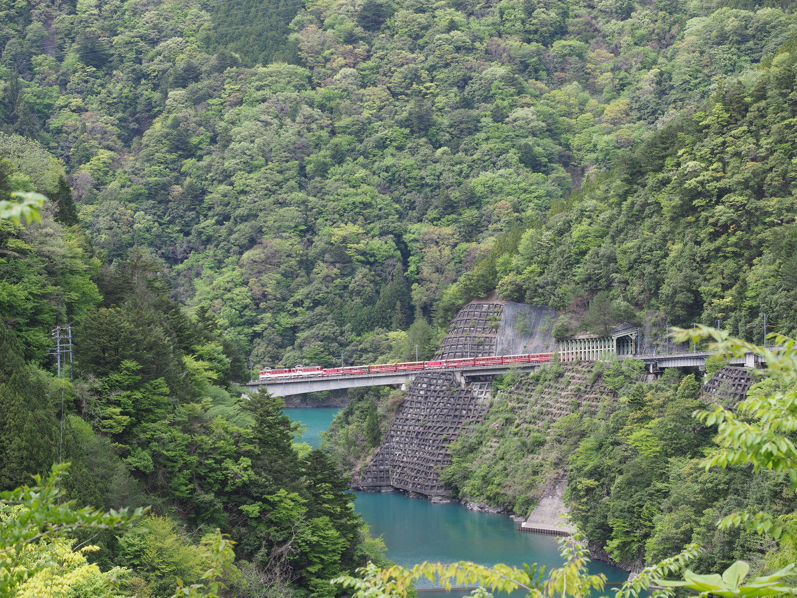 P4280161.jpg
