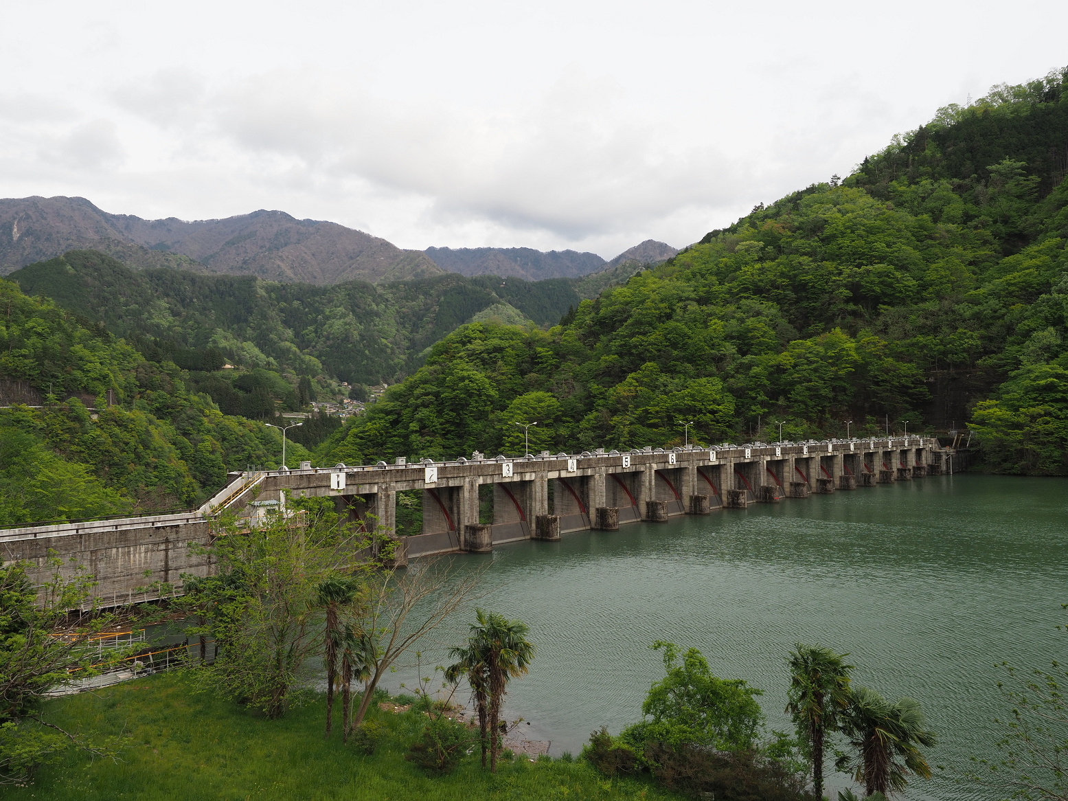 P4280179.jpg