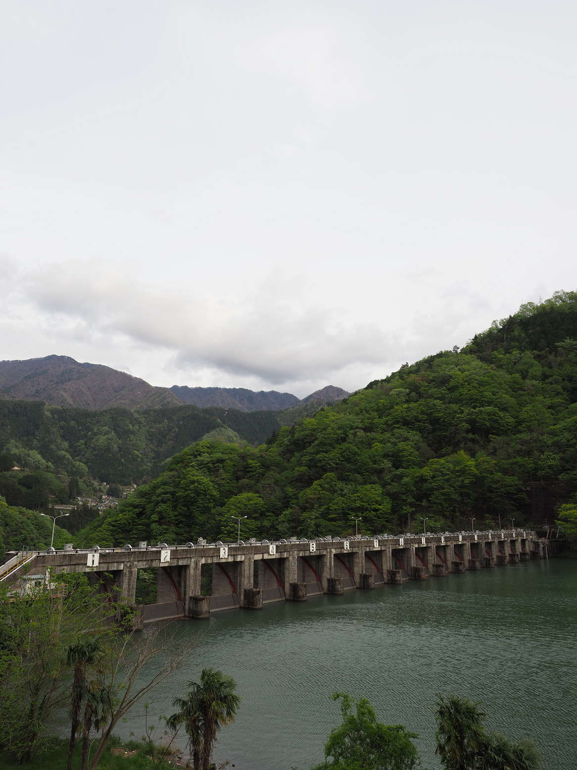 P4280180.jpg