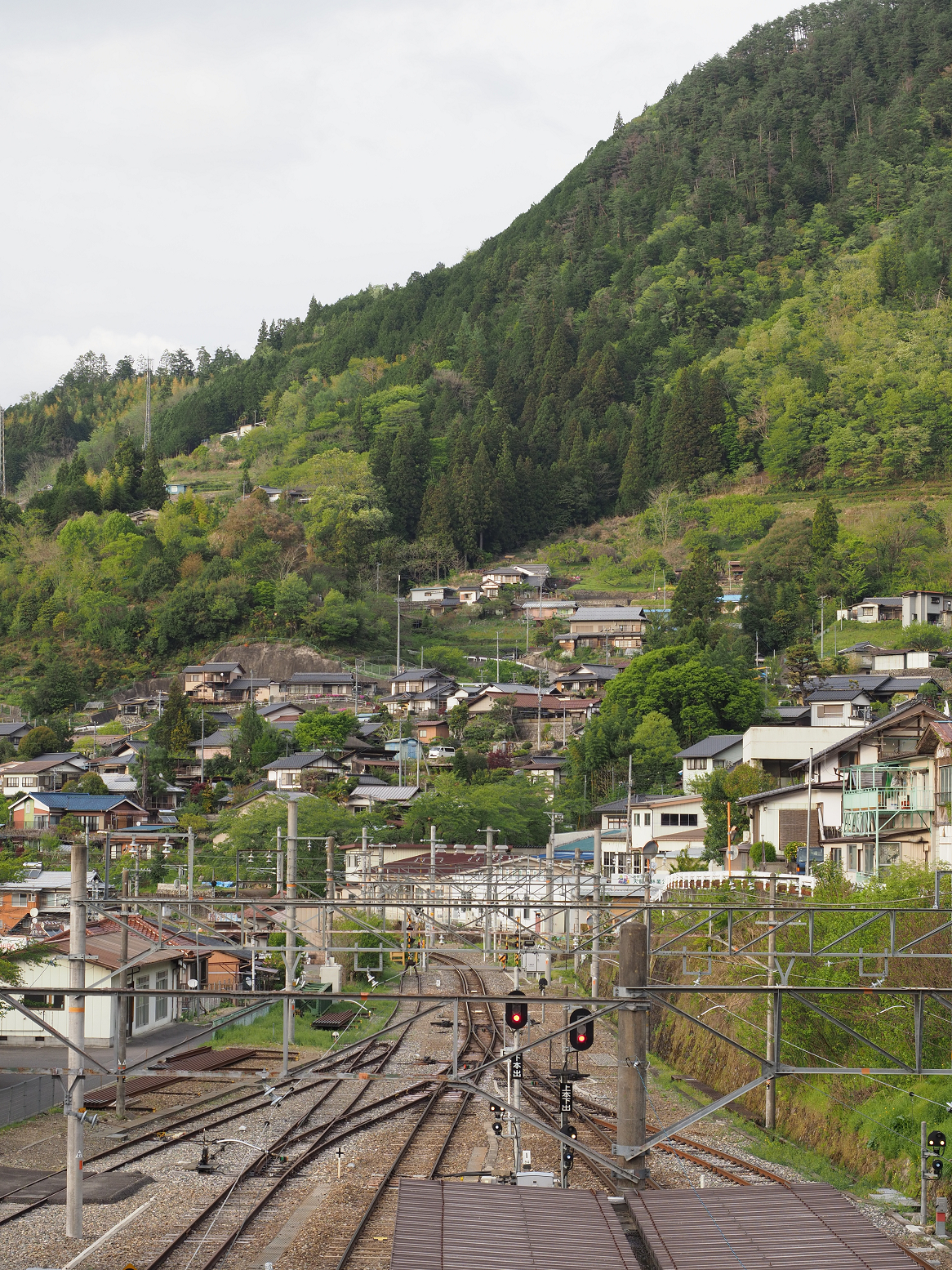 P4280199.jpg