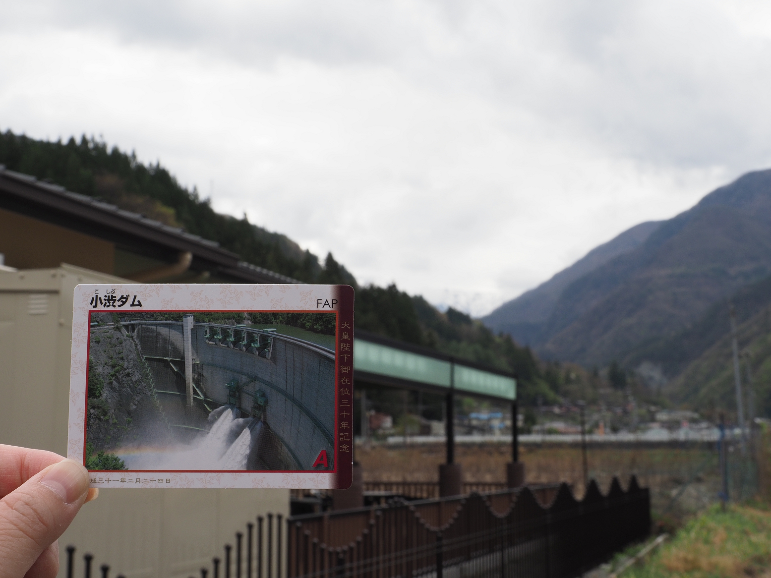 P4290294.jpg