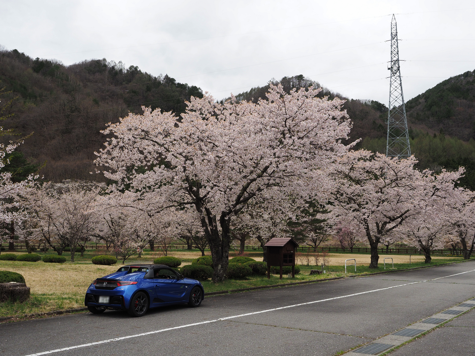 P4290300.jpg