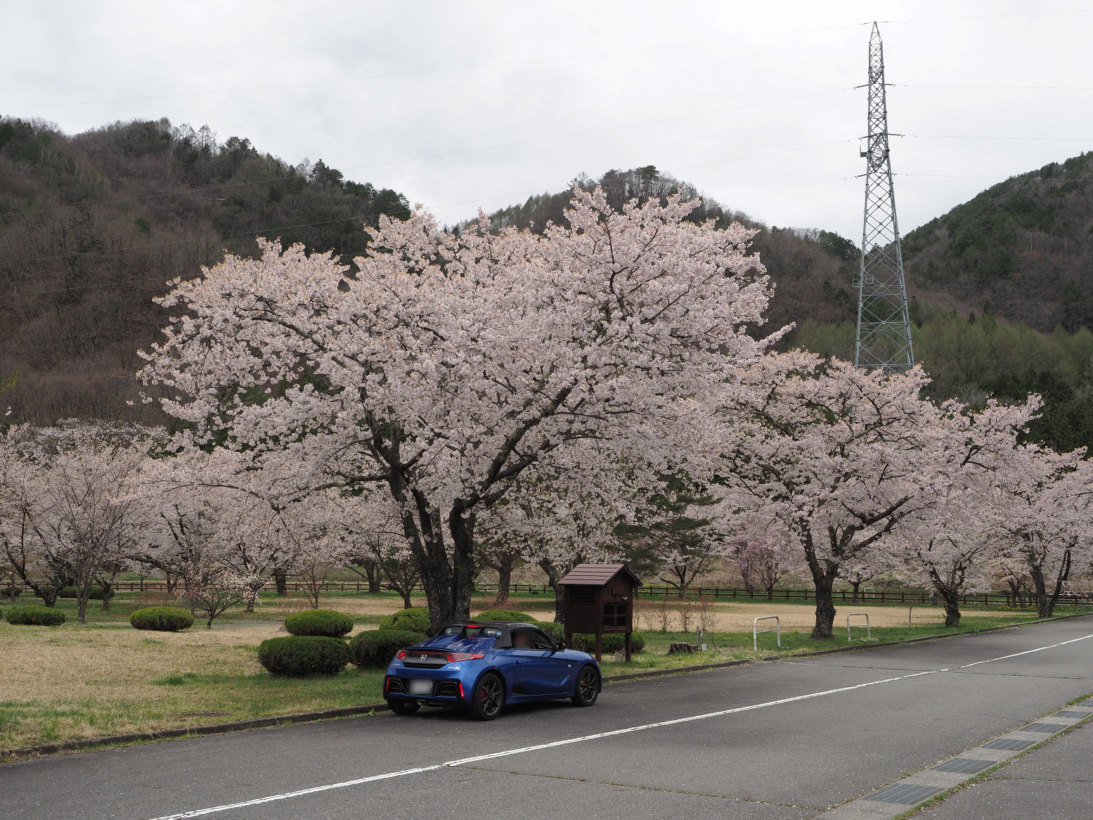 P4290301.jpg