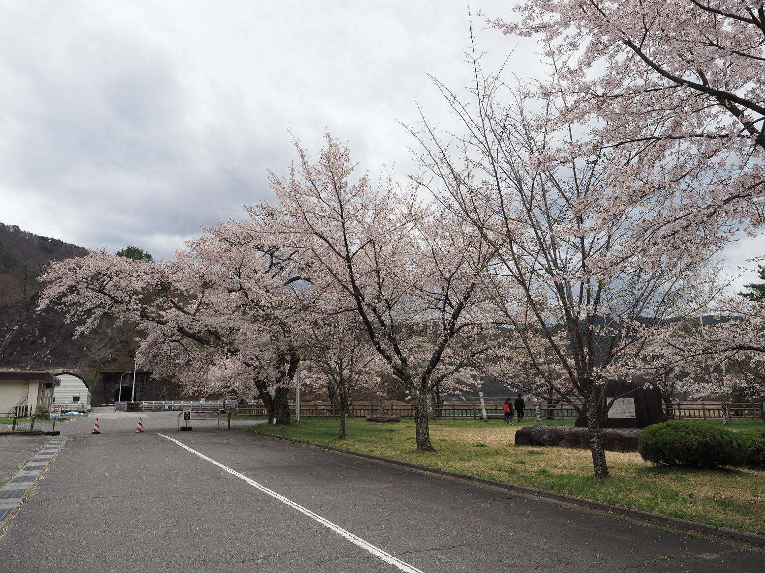 P4290304.jpg