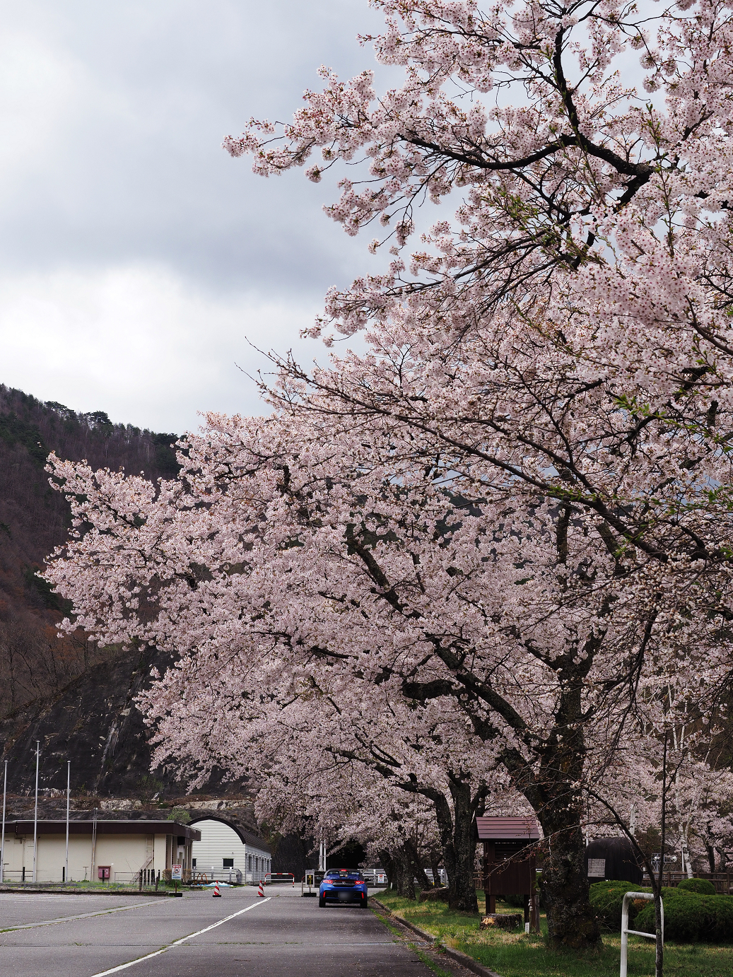 P4290317.jpg