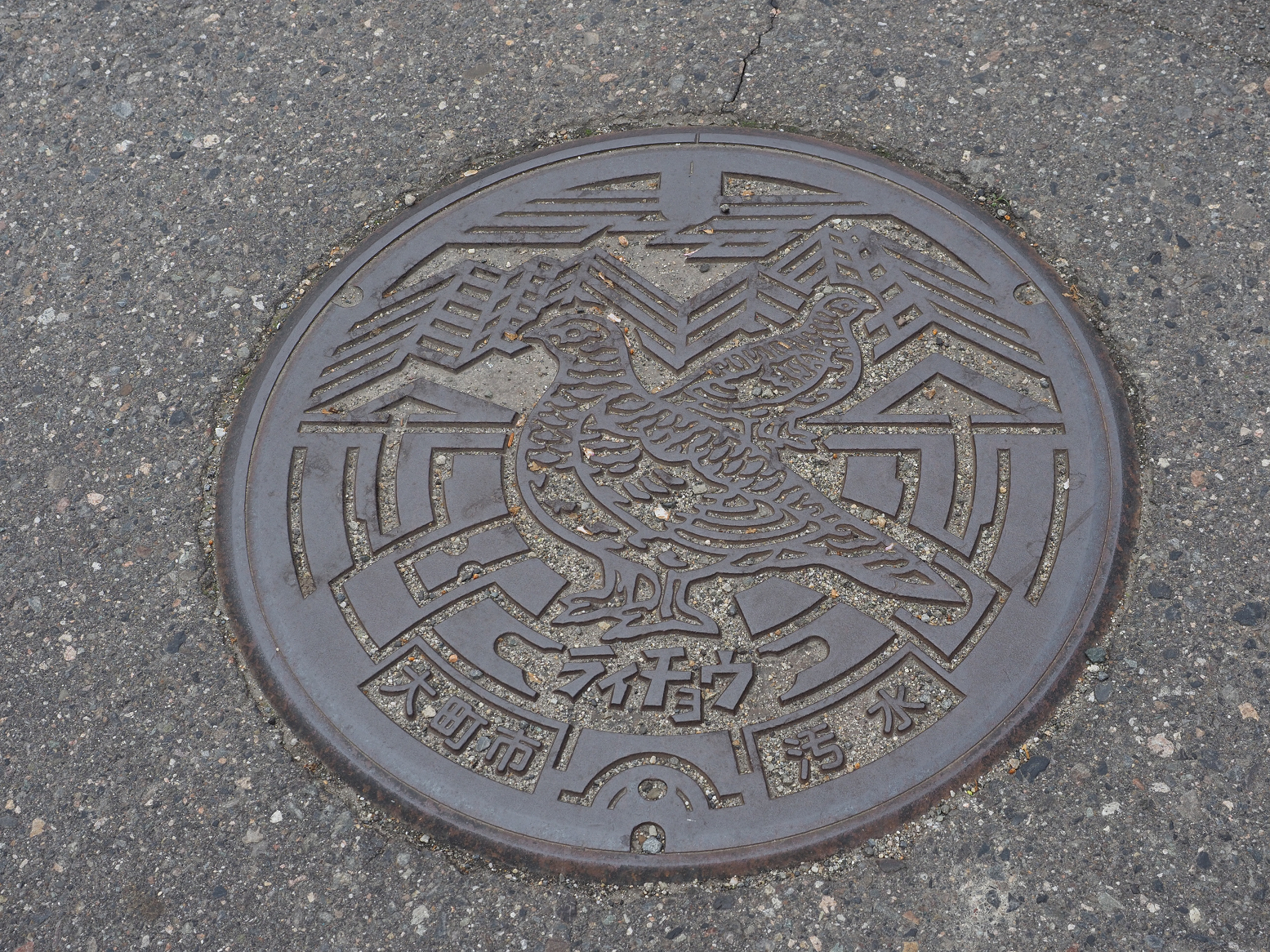 P4290364.jpg