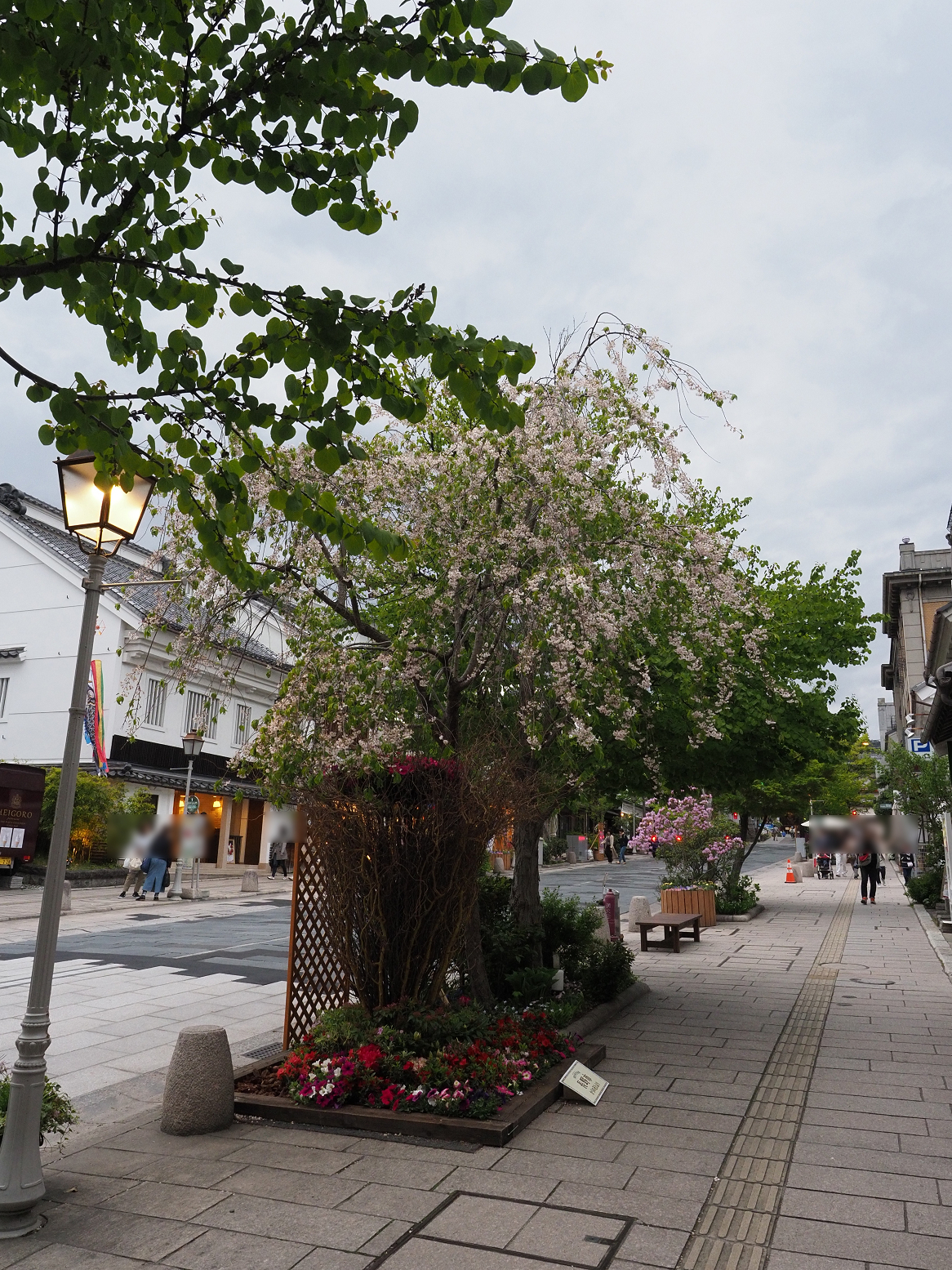 P4290369.jpg
